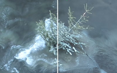 Upscaling – Altes Filmmaterial qualitativ mit KI pushen